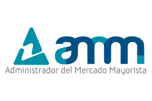 AMM<br><strong>Administrador del Mercado Mayorista</strong>