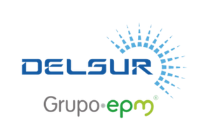 DELSUR<br><strong>Distribuidora de Electricidad del Sur S.A. de C.V.</strong>