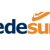 EDESUR